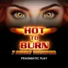 Hot to Burn - 7 Deadly Free Spins screenshot